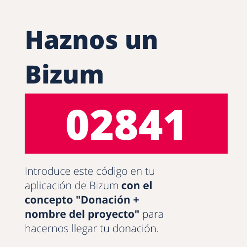 Image with Bizum code in Spanish